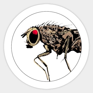 Fly / Fliege / Mouche Sticker